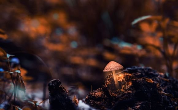 Untitled design (20)